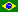 portugues brazil